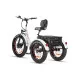 ZT-80A Trailer - Elektrický trojkolesový bicykel
